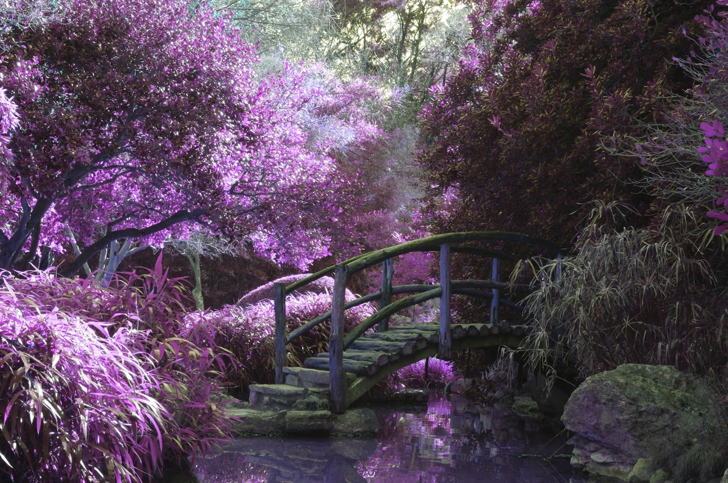Top Tips for a Serene Backyard Oasis