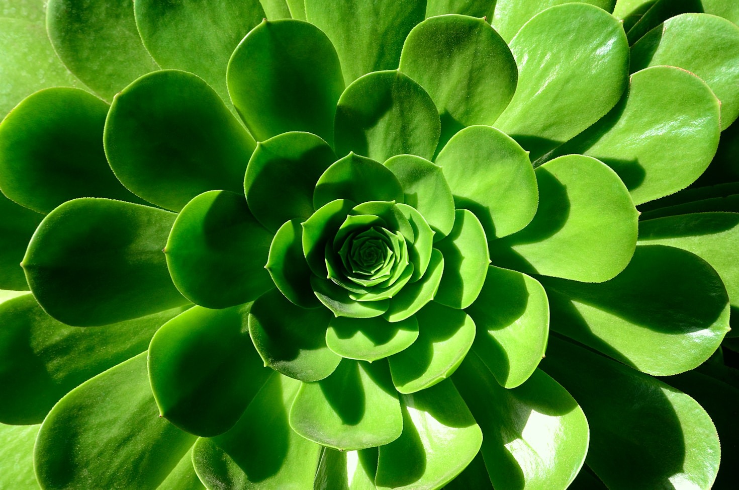 Inspiring Landscape Design Trends for 2024