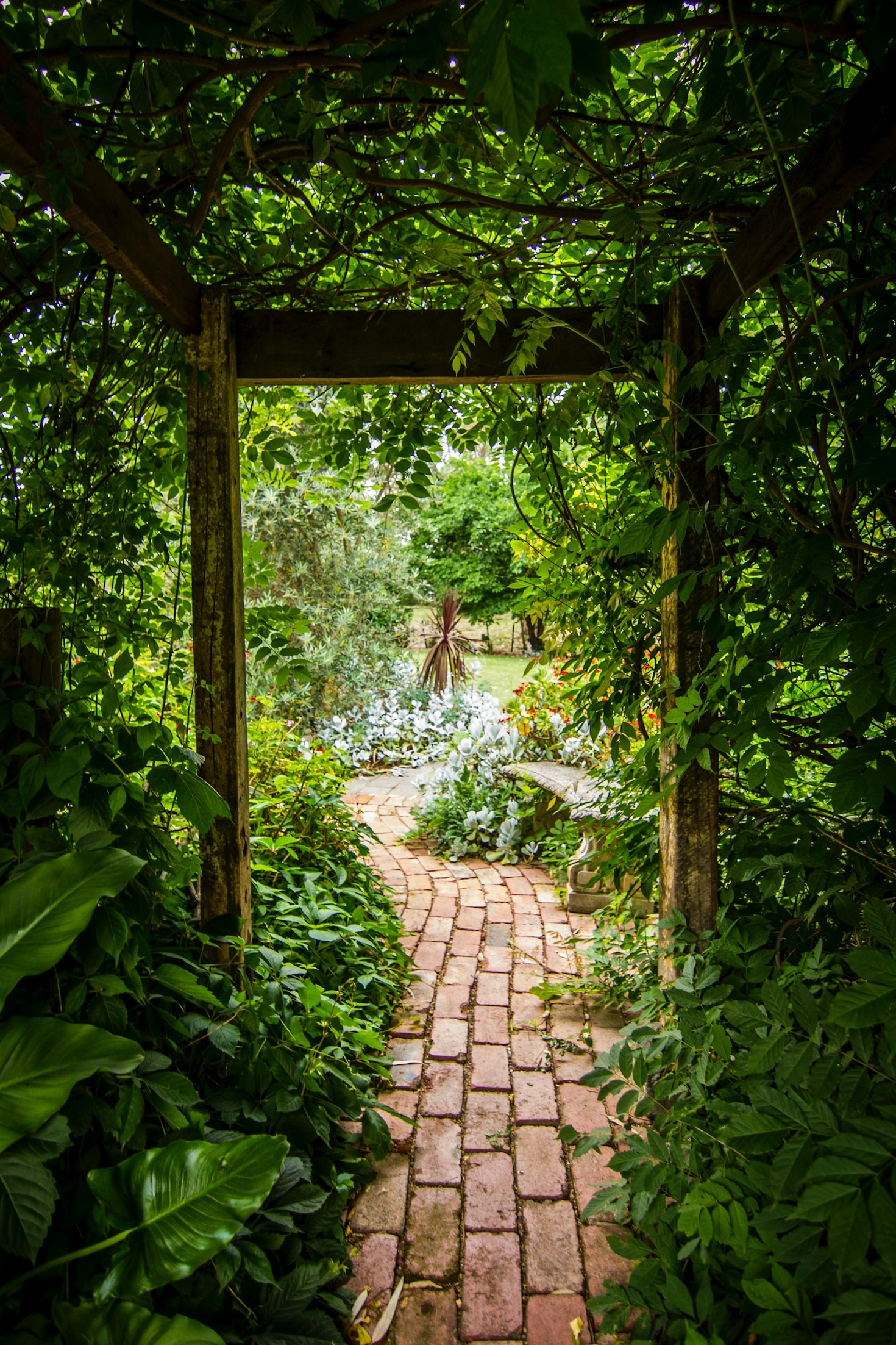 Why Choose Evergreen Dreams for Your Landscape Needs